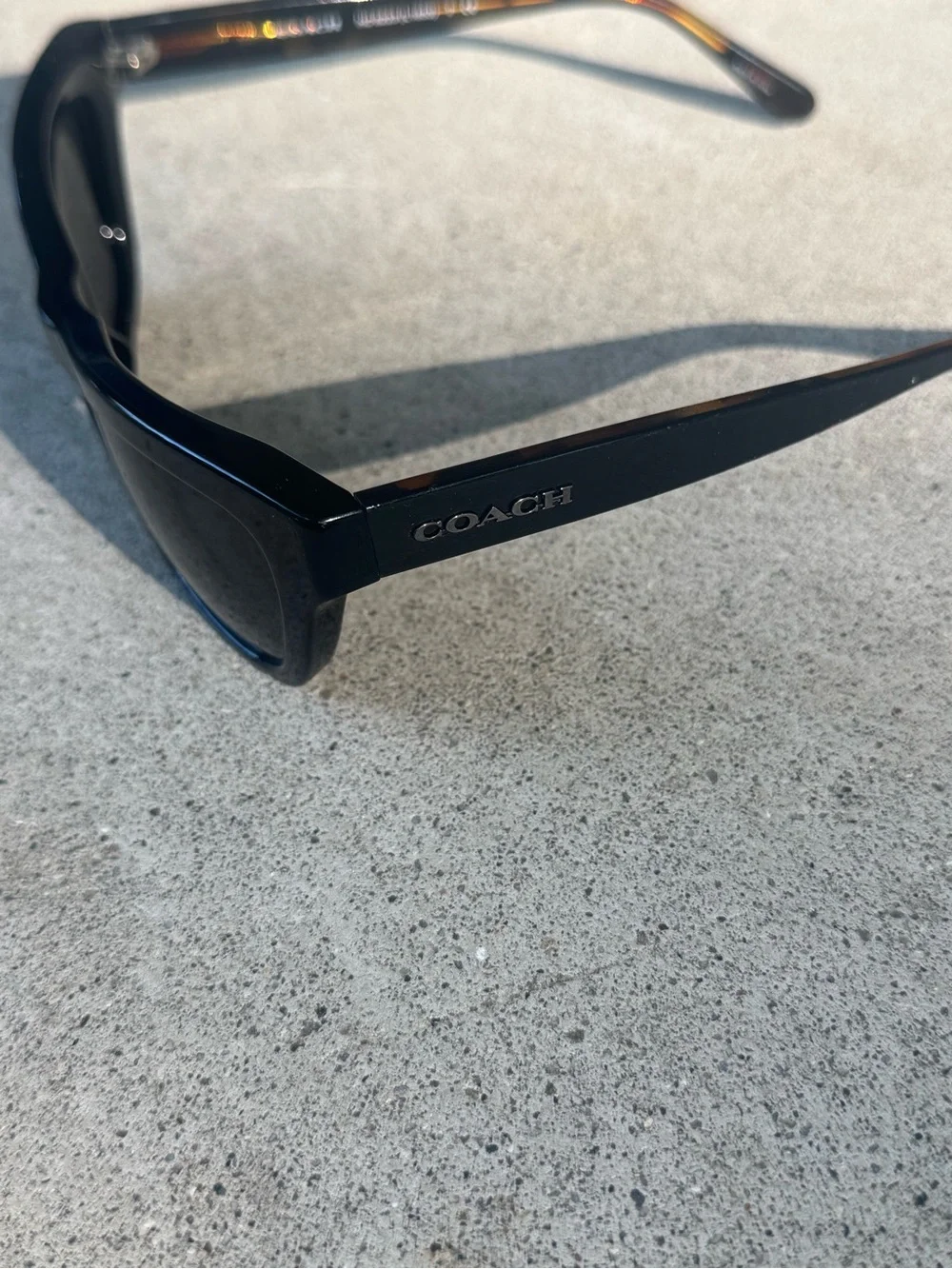 Coach Black Cat-Eye/Square Women's Sunglasses